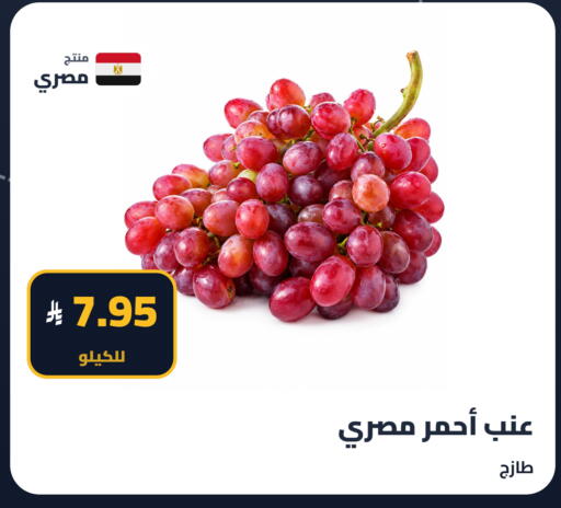 available at Tmoon Dammam in KSA, Saudi Arabia, Saudi - Dammam