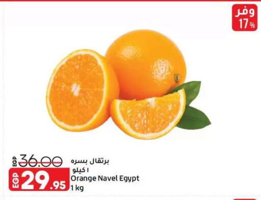 Orange from Egypt available at Lulu Hypermarket  in Egypt - Cairo