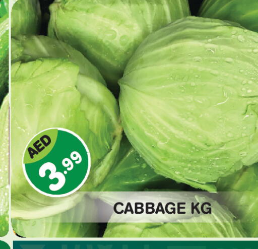 Cabbage available at Baniyas Spike  in UAE - Abu Dhabi