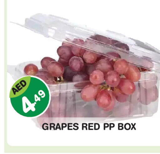 Grapes available at Baniyas Spike  in UAE - Abu Dhabi
