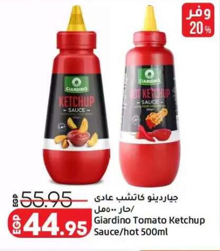 Tomato available at لولو هايبرماركت in Egypt - القاهرة