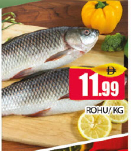 available at AL MADINA (Dubai) in UAE - Dubai