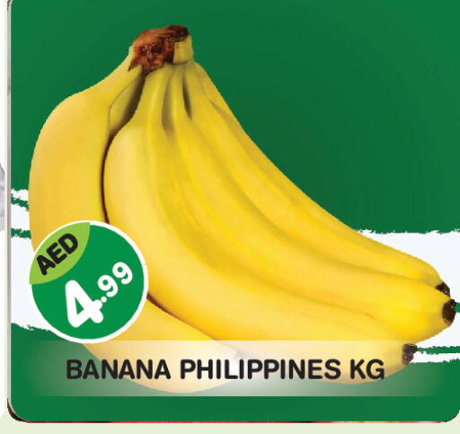 Banana from Philippines available at Baniyas Spike  in UAE - Abu Dhabi
