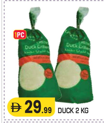 available at سنابل بني ياس in الإمارات العربية المتحدة , الامارات - ٱلْعَيْن‎