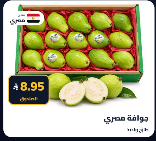 available at Tmoon Dammam in KSA, Saudi Arabia, Saudi - Dammam