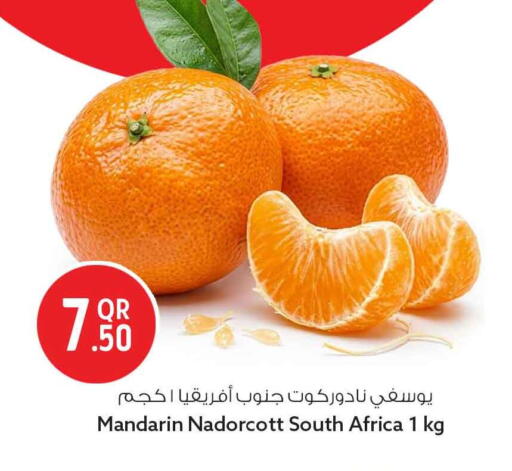 Mandarin from South Africa available at سفاري هايبر ماركت in قطر - الوكرة