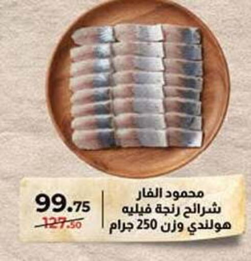 available at محمود الفار in Egypt - القاهرة