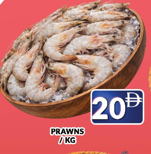 available at المدينة in الإمارات العربية المتحدة , الامارات - دبي