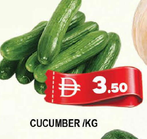 Cucumber available at AL MADINA (Dubai) in UAE - Dubai