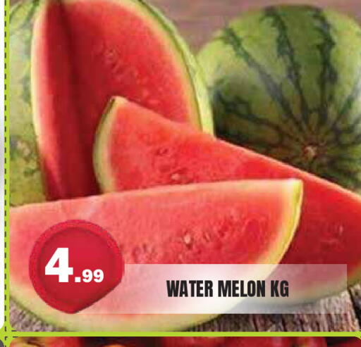 Melon available at سنابل بني ياس in الإمارات العربية المتحدة , الامارات - ٱلْعَيْن‎