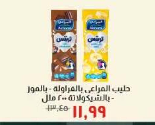 available at Kheir Zaman  in Egypt - Cairo