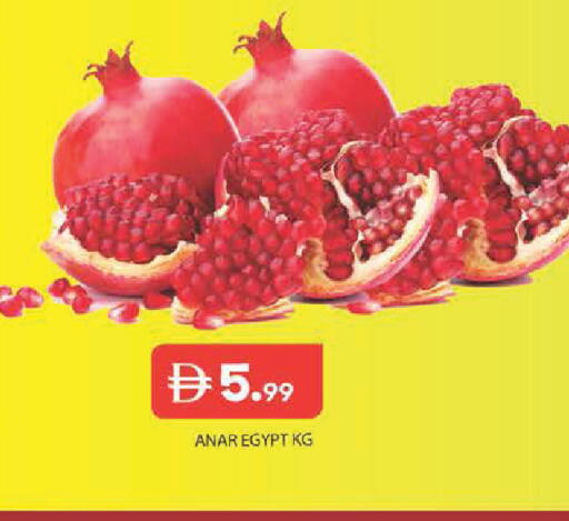 from Egypt available at Baniyas Spike  in UAE - Abu Dhabi