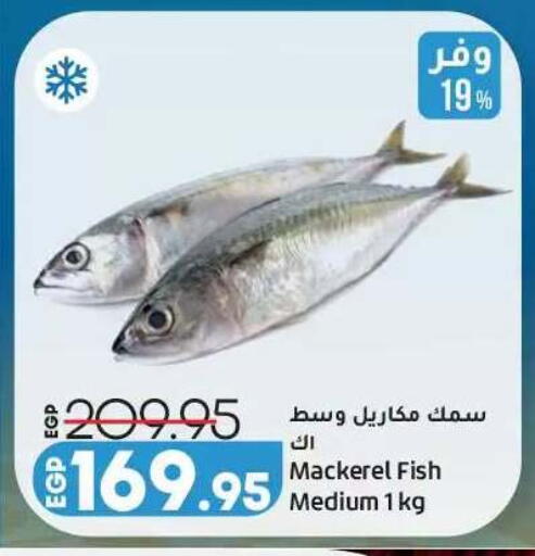 available at لولو هايبرماركت in Egypt - القاهرة
