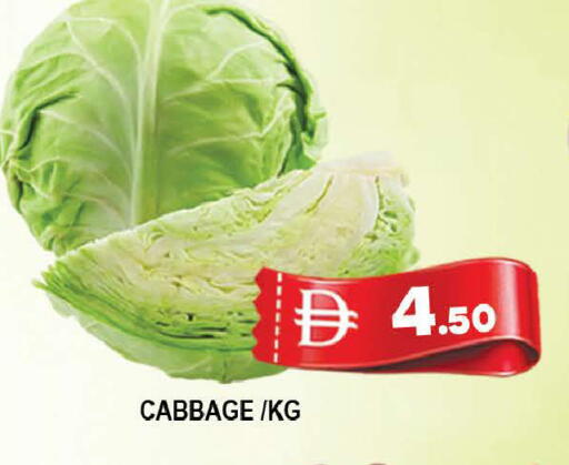 Cabbage available at المدينة in الإمارات العربية المتحدة , الامارات - دبي