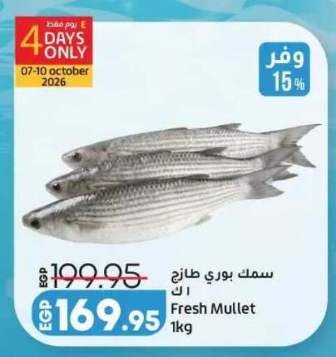 available at لولو هايبرماركت in Egypt - القاهرة
