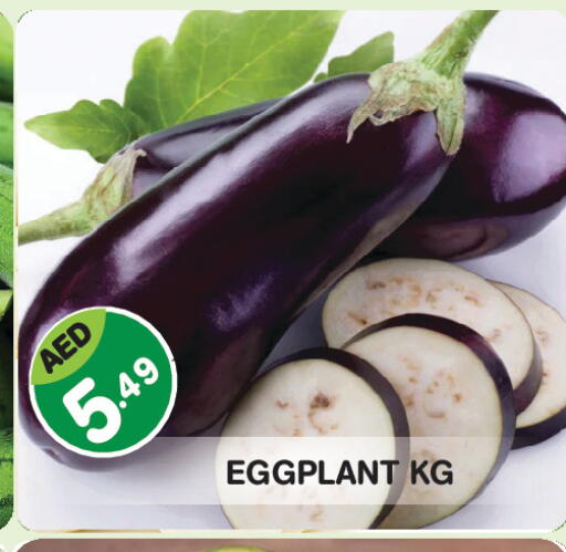 Eggplant available at Baniyas Spike  in UAE - Abu Dhabi
