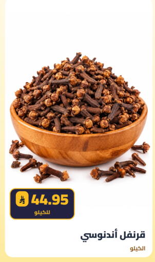 available at Tmoon Dammam in KSA, Saudi Arabia, Saudi - Dammam