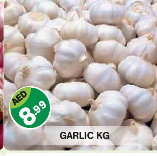 Garlic available at Baniyas Spike  in UAE - Abu Dhabi