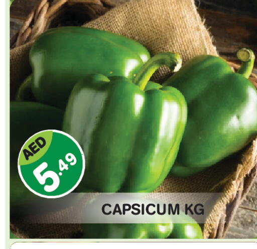 Capsicum available at Baniyas Spike  in UAE - Abu Dhabi