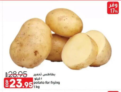Potato available at Lulu Hypermarket  in Egypt - Cairo