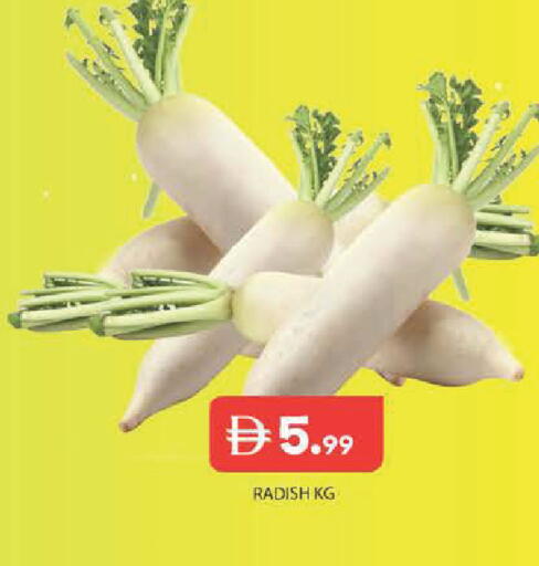 Radish available at Baniyas Spike  in UAE - Abu Dhabi