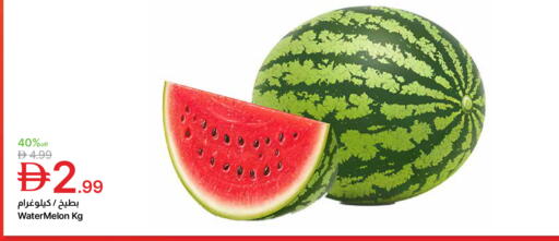 Watermelon available at Emirates Co-Operative Society in UAE - Dubai