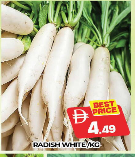 Radish available at المدينة in الإمارات العربية المتحدة , الامارات - دبي
