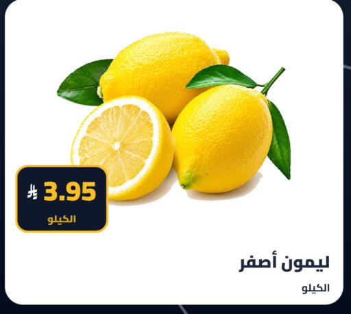 available at Tmoon Dammam in KSA, Saudi Arabia, Saudi - Dammam