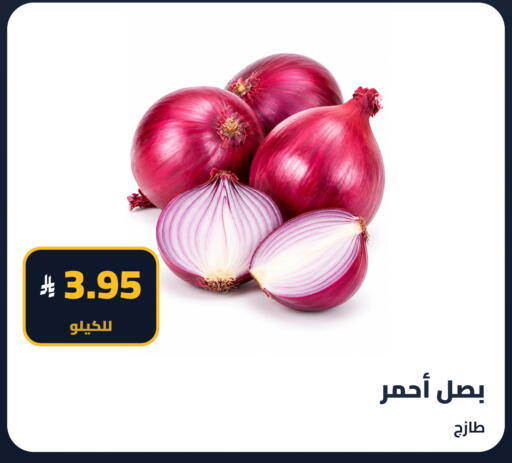 available at Tmoon Dammam in KSA, Saudi Arabia, Saudi - Dammam