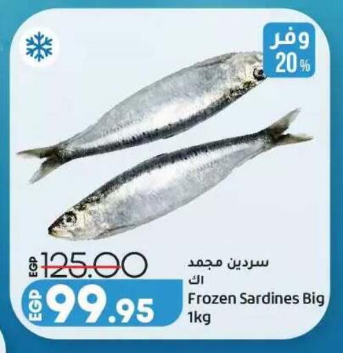 available at لولو هايبرماركت in Egypt - القاهرة