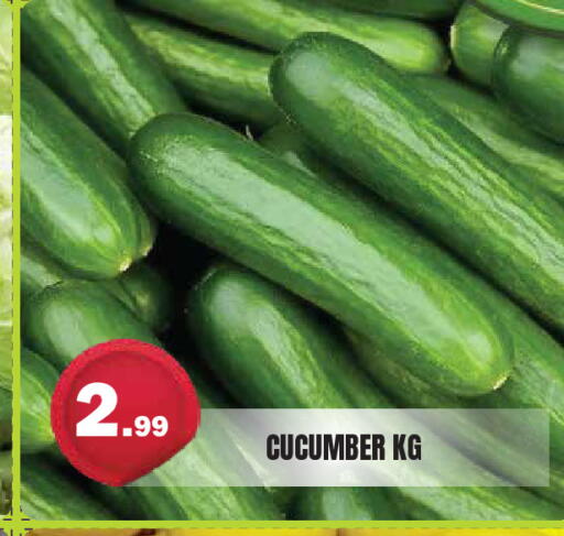 Cucumber available at Baniyas Spike  in UAE - Al Ain