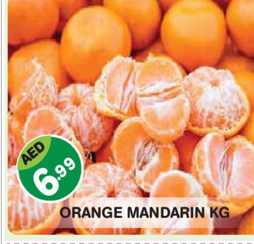 Orange Mandarin available at Baniyas Spike  in UAE - Abu Dhabi