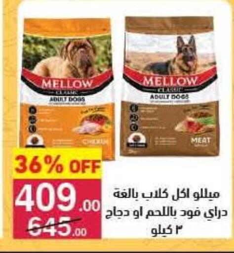 available at محمود الفار in Egypt - القاهرة