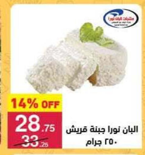 available at محمود الفار in Egypt - القاهرة
