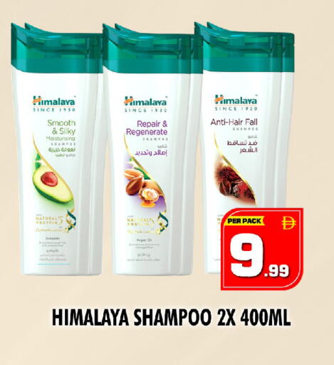 Avocado available at نايت تو نايت in الإمارات العربية المتحدة , الامارات - دبي