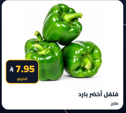 available at Tmoon Dammam in KSA, Saudi Arabia, Saudi - Dammam
