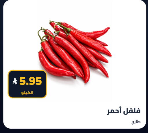 available at Tmoon Dammam in KSA, Saudi Arabia, Saudi - Dammam