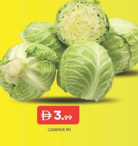 Cabbage available at Baniyas Spike  in UAE - Abu Dhabi