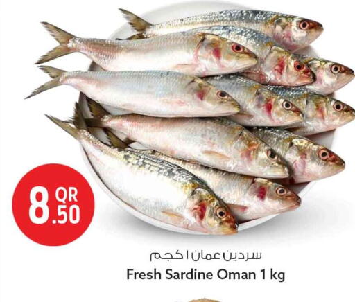 available at سفاري هايبر ماركت in قطر - الوكرة