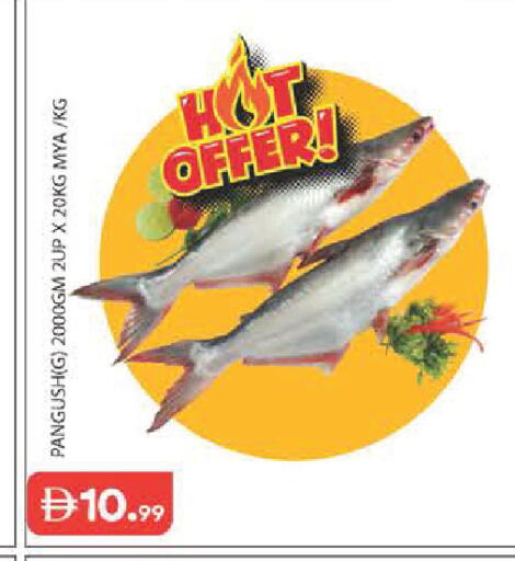 available at Baniyas Spike  in UAE - Abu Dhabi