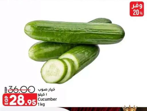 Cucumber available at Lulu Hypermarket  in Egypt - Cairo
