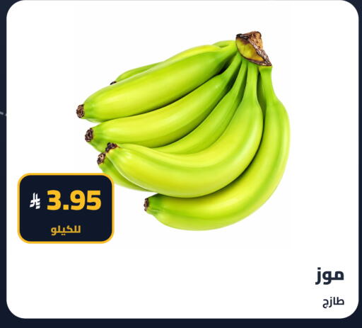 available at تموون الدمام in مملكة العربية السعودية, السعودية, سعودية - المنطقة الشرقية