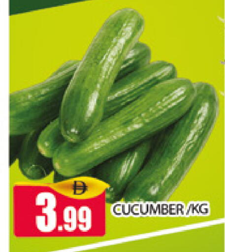 Cucumber available at AL MADINA (Dubai) in UAE - Dubai