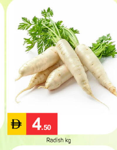 Radish available at سوق طلال in الإمارات العربية المتحدة , الامارات - دبي