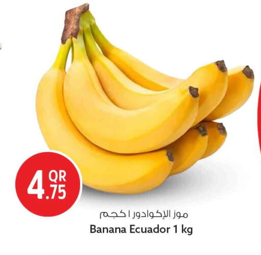 Banana from Ecuador available at سفاري هايبر ماركت in قطر - الوكرة