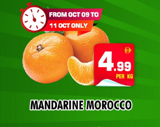 from Morocco available at NIGHT TO NIGHT DEPARTMENT STORE in UAE - Sharjah / Ajman