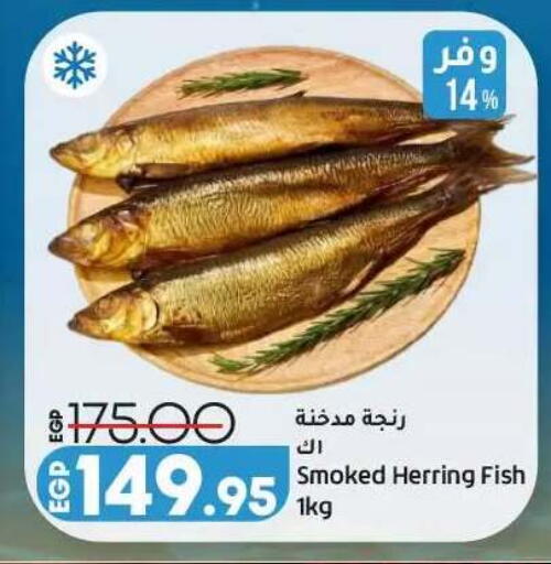 available at Lulu Hypermarket  in Egypt - Cairo
