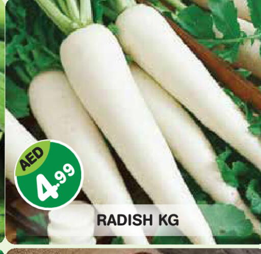Radish available at Baniyas Spike  in UAE - Abu Dhabi