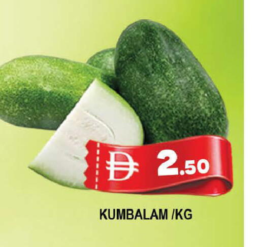 available at المدينة in الإمارات العربية المتحدة , الامارات - دبي