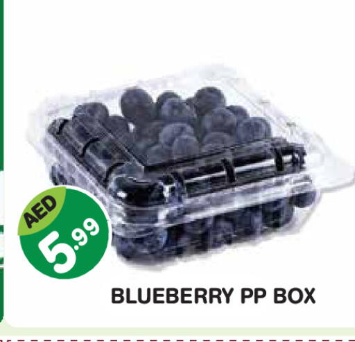Blueberry BlueBerry available at Baniyas Spike  in UAE - Abu Dhabi